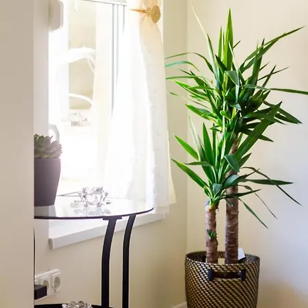 Appartement Starlight Haven By Nw *